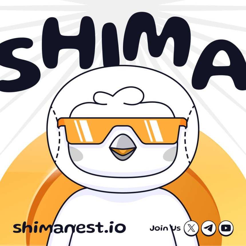 Get Ready to Shine with SHIMA!