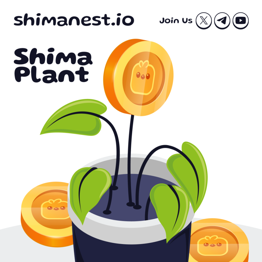 If SHIM were a seed, it would be growing like this.